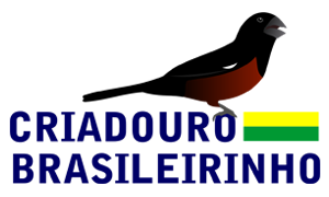 logotipo